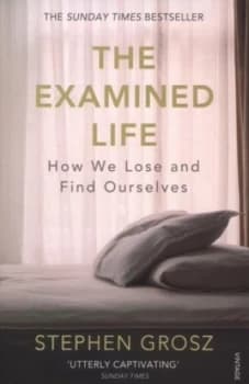 The Examined Life by Stephen Grosz Paperback