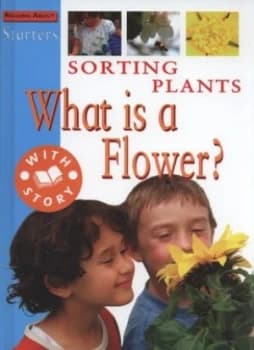 Sorting Plants by Sally Hewitt Hardback