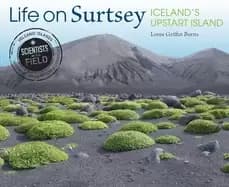 life on surtsey icelands upstart island