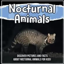 Nocturnal Animals : Discover Pictures and Facts About Nocturnal Animals For Kids!
