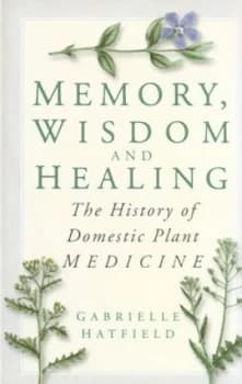 Memory Wisdom and Healing by Jenny Sabine Paperback