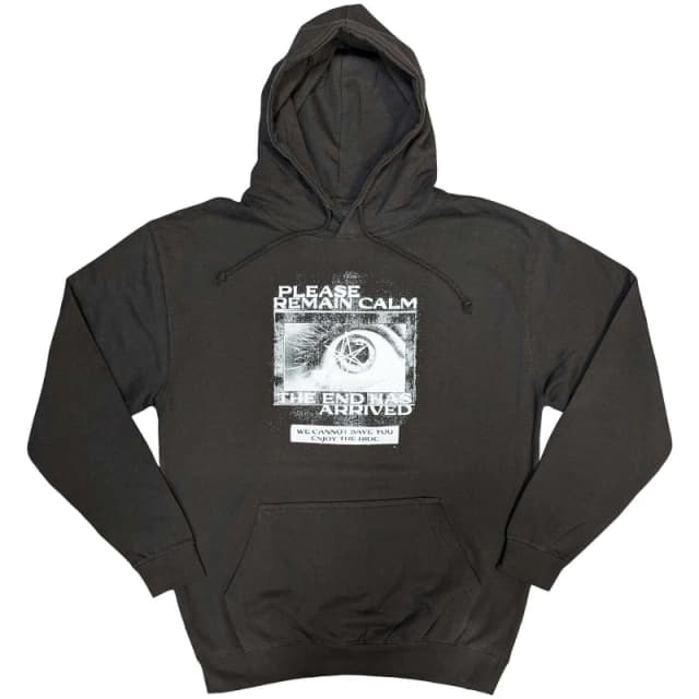 Bring Me The Horizon Mens Remain Calm FP Hoodie in Grey Size: XL Grey Male XL