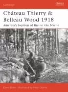 chteau thierry and belleau wood 1918 americas baptism of fire on the marne