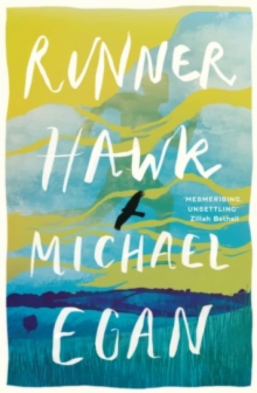Runner Hawk Paperback / softback