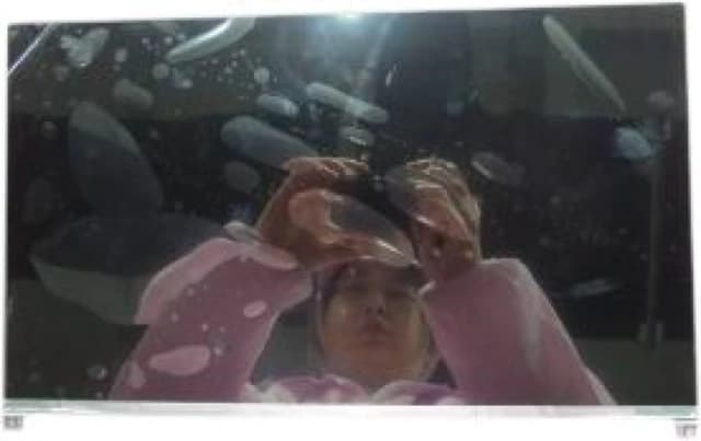 DELL SSY.LCD.N14FHD400.5450/3490#