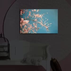 4570?ACT-41 Multicolor Decorative LED Lighted Canvas Painting