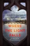 where the light falls a novel of the french revolution