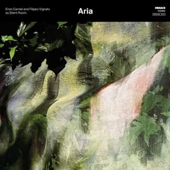 Enzo Carniel, Filippo Vignato & Silent Room - Aria Vinyl