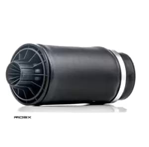 RIDEX Air Spring, suspension MERCEDES-BENZ 4119A0011 2513200025,2513200325,2513200425 A2513200025,A2513200325,A2513200425