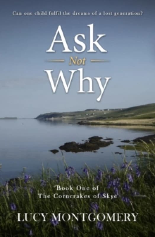 Ask Not Why : Can one child fulfil the dreams of a lost generation? Paperback / softback