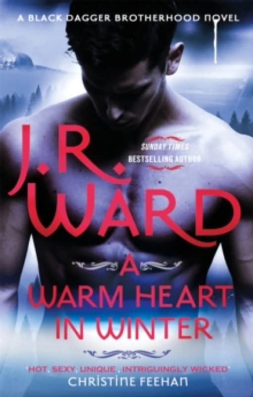 A Warm Heart in Winter. Paperback. By J R Ward Books