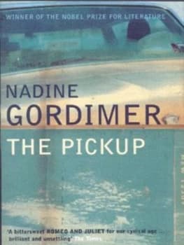 The Pickup by Nadine Gordimer Paperback