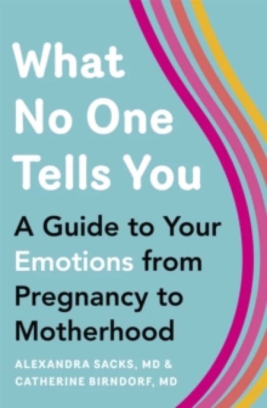 What No One Tells You : A Guide to Your Emotions from Pregnancy to Motherhood Paperback / softback
