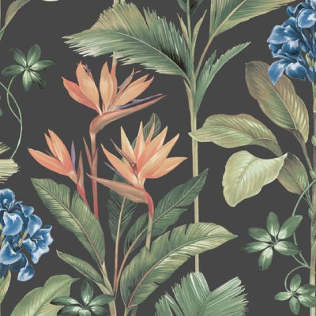 BELGRAVIA DECOR Belgravia Decor - Floral Tropical Palm Leaves Flowers Charcoal Green Belgravia Oliana Wallpaper WL-O8484