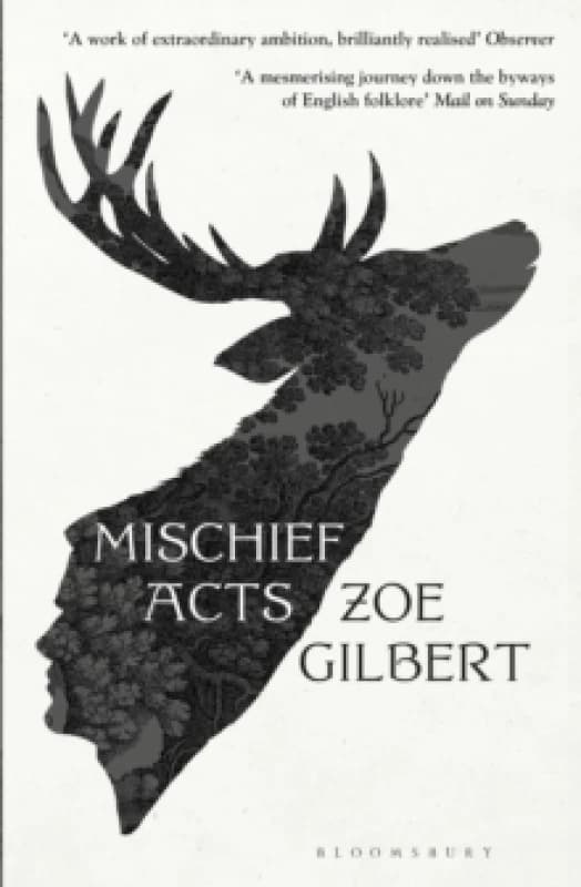 Mischief Acts : 'Joyous' THE TIMES, Best summer reads 2022 Paperback / softback