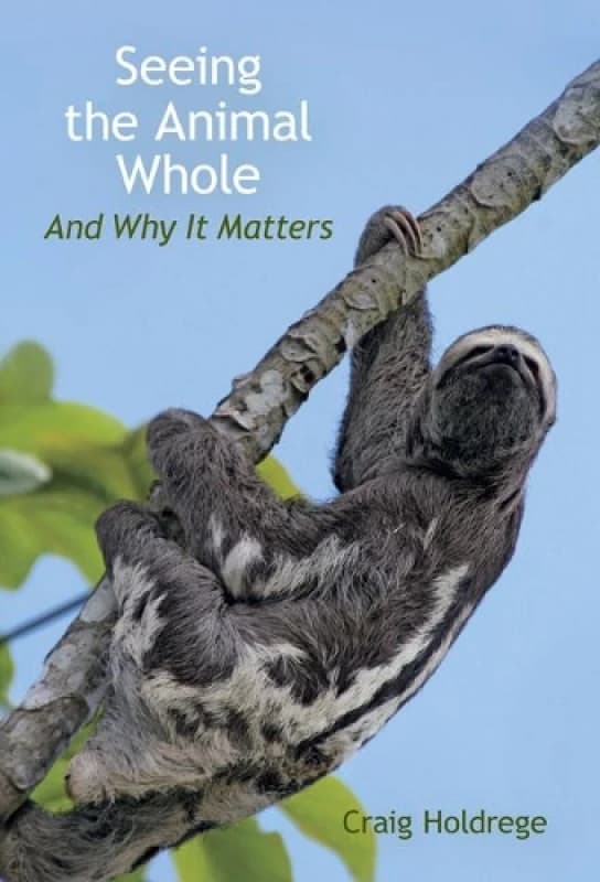 Seeing the Animal Whole : And Why It Matters Paperback / softback
