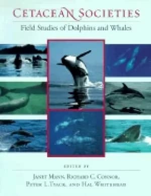 cetacean societies field studies of dolphins and whales