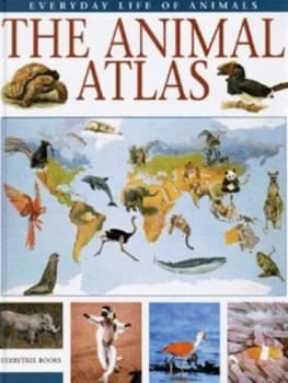 The Animal Atlas by Marco Ferrari and Alessandro Cantucci and Andrea Morandi Hardback