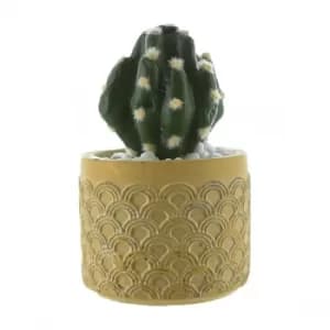 Round Cactus in Cement Pot Yellow 12cm