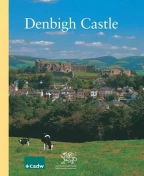 Denbigh Castle by L. A. S Butler and Cadw Paperback