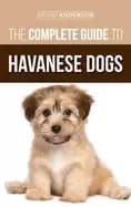 complete guide to havanese dogs everything you need to know to successfully