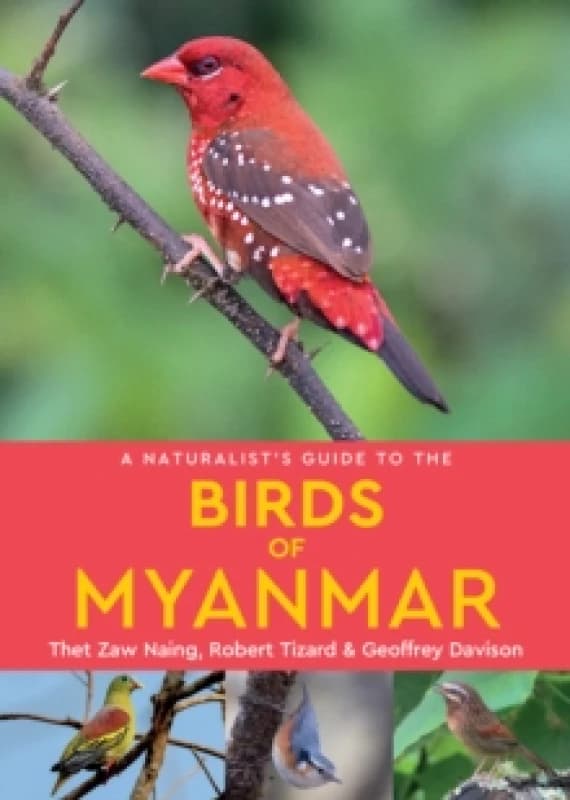 A Naturalist's Guide to the Birds of Myanmar Paperback / softback