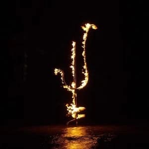 Demon Head - Hellfire Ocean Void Vinyl