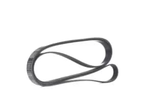 RIDEX V-ribbed belt 305P0225 Serpentine belt,Auxiliary belt AUDI,SAAB,FORD USA,A8 (4D2, 4D8),100 Limousine (4A2, C4),A6 Avant (4A5, C4)