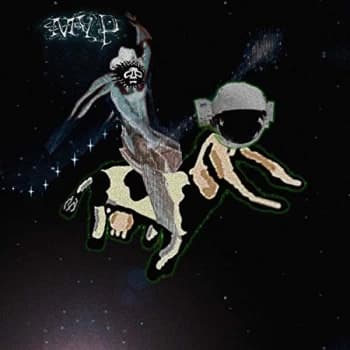 Matt Valentine - Preserves CD