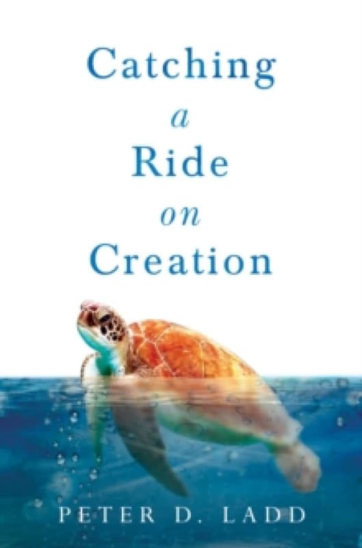 Catching a Ride on Creation Paperback / softback