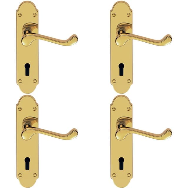 Loops 4x PAIR Victorian Upturned Handle on Lock Backplate 170 x 42mm Polished Brass Metallics