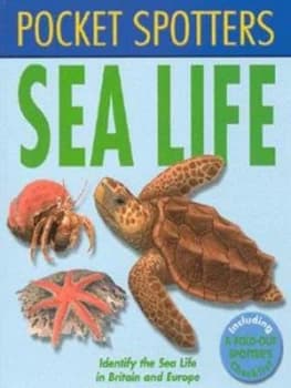 Sea Life by Leslie Jackman Paperback