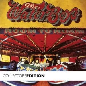 Room to Roam by The Waterboys CD Album