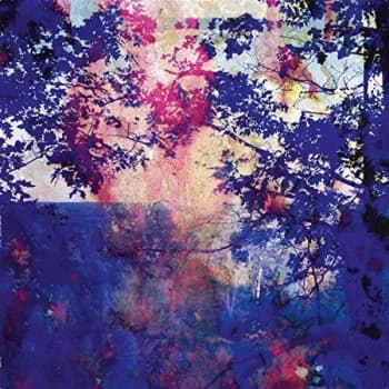 Roland Bucher - Viaje Vinyl