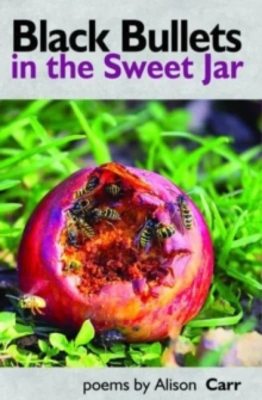 Black Bullets in the Sweet Jar Paperback / softback