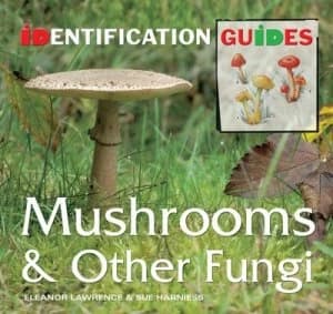 British and European Mushrooms and Other Fungi by Sue Harniess Book