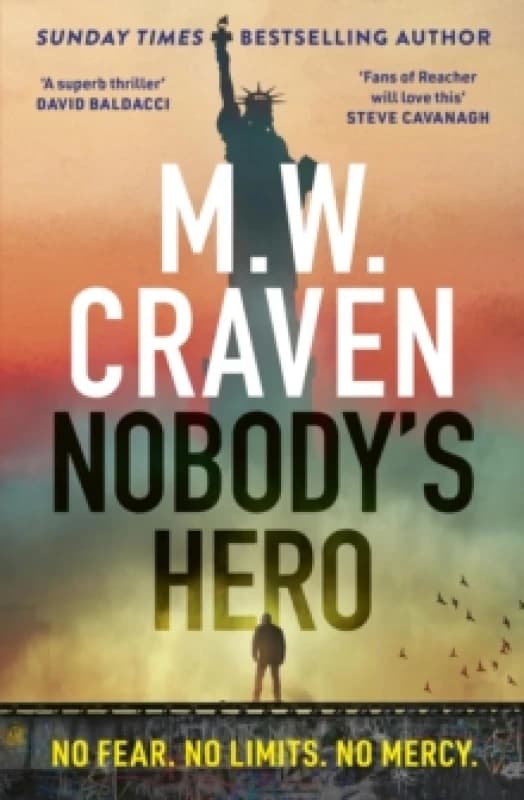 Nobody's Hero Hardback