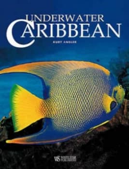 Underwater Caribbean by Kurt Amsler Hardback