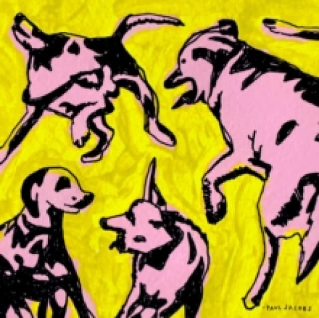 Pink Dogs On the Green Grass CD / Album
