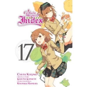 A Certain Magical Index, Vol. 17 (manga)