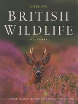 Collins British Wildlife by Paul Sterry Hardback