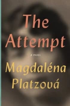 The Attempt by Magdalna Platzov Book