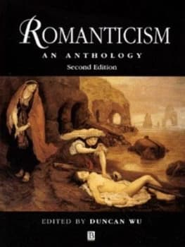 Romanticism by Wu Paperback