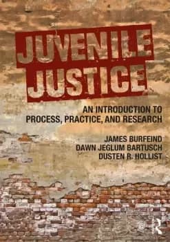 Juvenile JusticeAn Introduction to Process Practice and Research