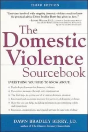 The domestic violence sourcebook by Dawn Berry