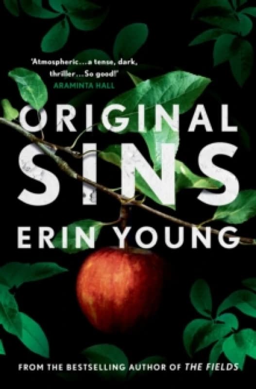 Original Sins : Riley Fisher Book 2 Hardback