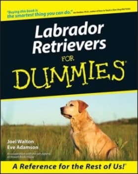 Labrador Retrievers for Dummies by Joel Walton Paperback