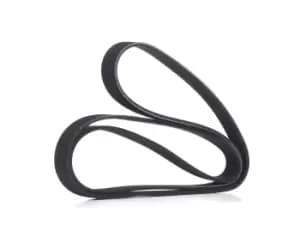 RIDEX V-ribbed belt 305P0169 Serpentine belt,Auxiliary belt VW,AUDI,OPEL,Golf V Schragheck (1K1),Passat Variant (3C5),Passat Limousine (3C2)