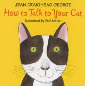 how to talk to your cat