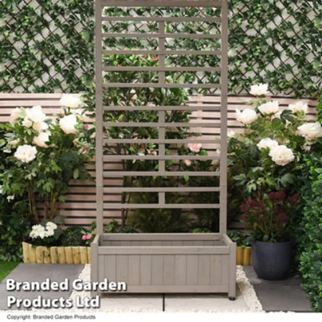 THOMPSON & MORGAN Grey Raised Wooden Planter & Climbing Trellis Durable Fir Wood Garden Bed KF6532